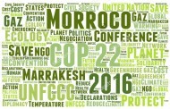تقييم COP21، ترجمة مواقف إستراتيجية ووجهات نظر المجتمع المدني والنقابات